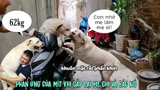 Cùng Kim Chi đi thăm Mít con  Phản ứng của Mít khi gặp lại bác Nô [upl. by Gan]