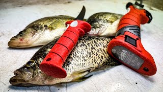 3 Ways to Fillet a Crappie That Every Panfish Angler Should Know [upl. by Nevear]