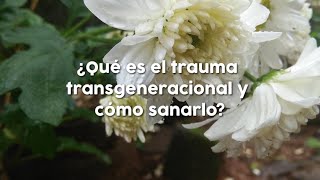 Ep 06 ¿Qué es el trauma generacional y cómo sanarlo [upl. by Yuri205]