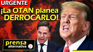 Impedirán que Trump llegue al poder Van a BOMBARDEAR Rusia para escalar la guerra [upl. by Fulmis921]