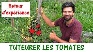 TUTEURER LES TOMATES  Retour dexpérience [upl. by Kopp]