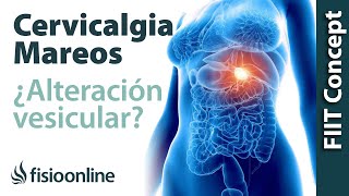 Tratamiento para dolor cervical con mareos provocado por una alteración de la vesícula biliar [upl. by Airtina676]