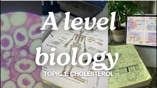 A level biology edexcel A SNAB Topic 1 Cholesterol [upl. by Aili]