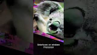 Solarisexe on windows 711 [upl. by Ixel]