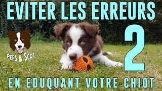 Eviter les ERREURS déducation avec son Chiot Vol2 [upl. by Farnsworth]