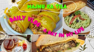 DELHIS HIDDEN GEM for Best korean to tibetian food  MAJNU KA TILA VLOG  EXPLORE THE UNSEEN [upl. by Ehgit971]