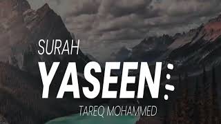 Surah Yaseen By Tareq Mohammed with 8D audio [upl. by Derag]