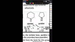 شرح ال pyridinepyrolidinepiperidine [upl. by Enhpad129]