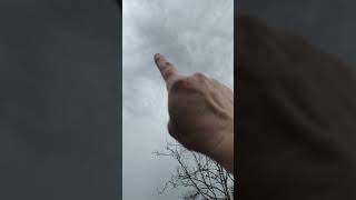 video 3 t cell storm San Ramon CA [upl. by Rostand839]