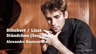 SchubertLiszt Ständchen Serenade [upl. by Lockhart]