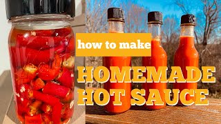 How to Make Homemade Fermented Hot Sauce Only 3 Ingredients part2 [upl. by Raama]