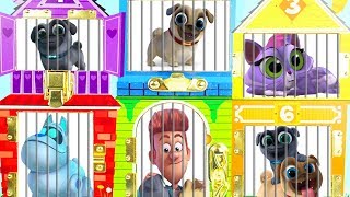 puppy dog pals surprises in house [upl. by Rosane537]