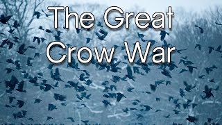 The Great Crow War [upl. by Eugnimod428]