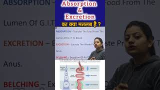 What is Absorption and Excretion absorptionexcretion digestion nursing nursingreels short [upl. by Geminian402]