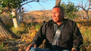 Chief Arvol Looking Horse Speaks of White Buffalo Prophecy [upl. by Bettencourt]