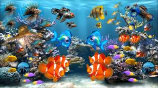 Aquarium Colors with Sound  Dream amp Screensaver Preview [upl. by Cesaria]