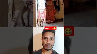 Bandar bewkoof😂duet funnymemes reactionvideo funny comedy memes meme memesdaily reaction [upl. by Sheehan]