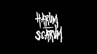 Harum Scarum  Corporate Pennies [upl. by Ensoll]