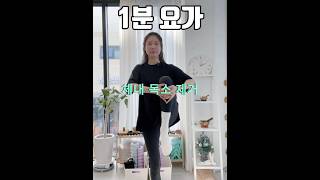 독소를 배출하고 변비와 허리통증을 예방하는 1분 요가 요가 스트레칭 바람빼기 독소배출 허리통증예방 [upl. by Maynard194]