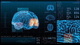 BCI Award 2023 Nomination  Memory enhancement through brain statedependent magnetic stimulation [upl. by Robena106]