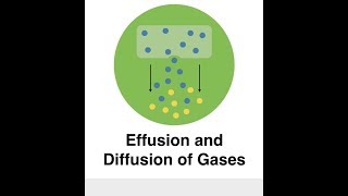 Effusion and Diffusion of Gases [upl. by Eikin]