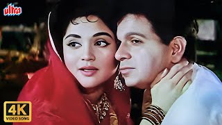 Daiya Re Daiya Laaj Mohe Laage 4K  Asha Bhosle Old Hit Songs  Vyjayanthimala Dilip Kumar  Leader [upl. by Yllitnahc]