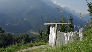 Stubaital Sommer in den Bergen I Tiroler Alpen ⛰ [upl. by Llednil]