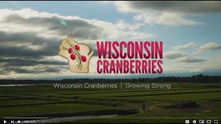 Wisconsin Cranberries Growing Strong [upl. by Sink]