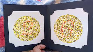 COLOUR BLINDNESS TEST CAPFSSC GD Army [upl. by Stevenson111]