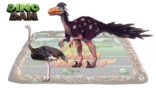 DINO DAN  DINO DUELS 16 Dromaeosaurus VS Ostrich [upl. by Ahteres]