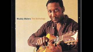 Muddy Waters  Mannish Boy [upl. by Lallage]