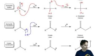 Condensation Reactions [upl. by Hannie]