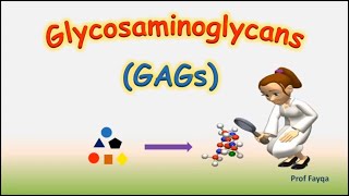 Why Glycosaminoglycans  GAGs are Essential for Your Health [upl. by Liagibba]