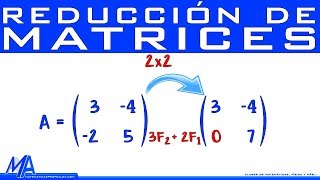 Reducción de matrices de 2x2 Método de Gauss [upl. by Rasaec]