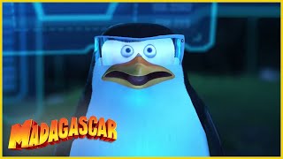 Madagascar en Español Latino  Abandonar la Casa  Clip de Los Pingüinos de Madagascar [upl. by Boorman528]