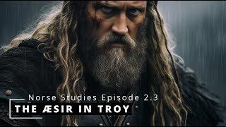 What Snorri Sturluson says about the Aesir in Troy  Æsir Vs Aiser Episode 23 [upl. by Enautna]