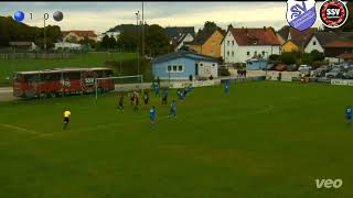 Landesliga Mitte 14 Spieltag SVSE vs Eggenfelden [upl. by Arised925]