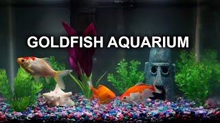 GOLDFISH AQUARIUM  8 HOURS  RELAXING  NO MUSIC [upl. by Uhp423]