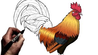 How To Draw A Rooster  Step By Step  Animal Drawing [upl. by Urban]