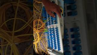 Fiber termination box  Internet  Find problem techsupport technicalb2k [upl. by Aierdna]