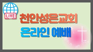 본이 되는 교회  데살로니가교회  천안성은교회 김신점목사  20241103 2부예배 [upl. by Gnirol967]