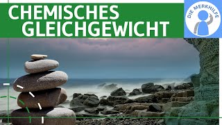 Chemisches Gleichgewicht einfach erklärt  Umkehrbarkeit Beispiele Reaktion  Anorganische Chemie [upl. by Debra]