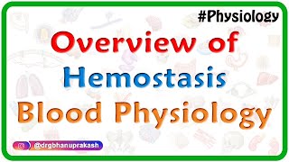 Overview of Hemostasis  Blood physiology Animated video lecture for MBBS [upl. by Maziar]