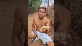 batata do mandacaru roça viralvideo [upl. by Onairam106]