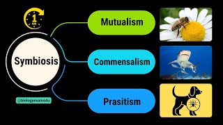 Symbiosis and its Types  Difference between Mutualism Commensalism and Parasitism [upl. by Mojgan]