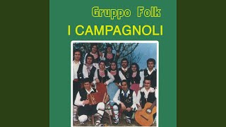 Tarantella di campagnoli [upl. by Remat]