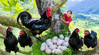 Harvest PHANTASMAL CHICKEN in Deep Forest Goes to market sell  Ella Daily Life [upl. by Yenaj405]