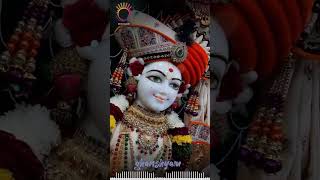 લટકાળા ઘનશ્યામ શૃંગાર દર્શન તા71224 swaminarayanshorts swaminarayan ghanshyam harikrushna [upl. by Elohc918]