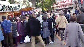 Kitain temple during the daruma festival  Kawagoe [upl. by Aicilaf]