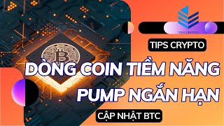 DÒNG COIN TIỀM NĂNG TĂNG TRƯỞNG TRƯỚC HALVING  CLAIM BONUS SÀN PRIMEXBT  TIPS CRYPTO [upl. by Lipcombe]